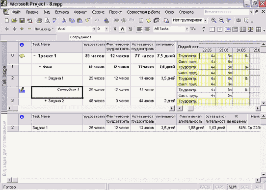 Microsoft Project - 