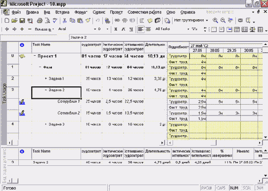 Microsoft Project - 