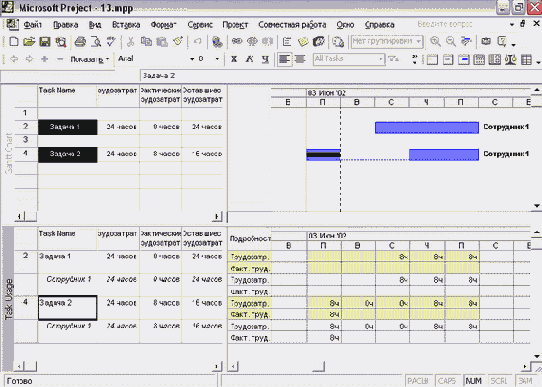 Microsoft Project - 