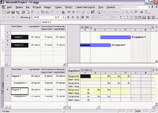 Microsoft Project - 