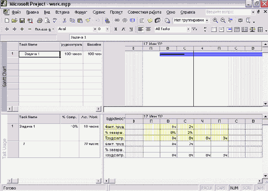Microsoft Project - 