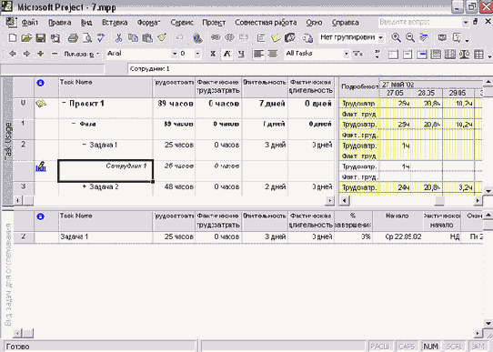 Microsoft Project - 