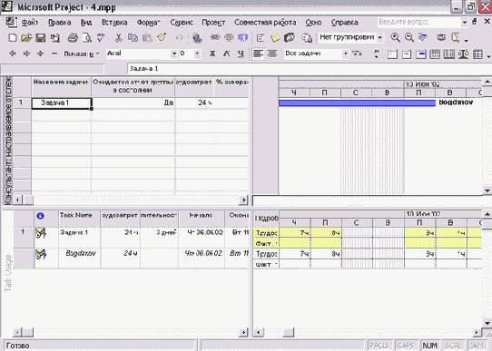 Microsoft Project - 