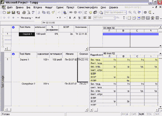 Microsoft Project - 