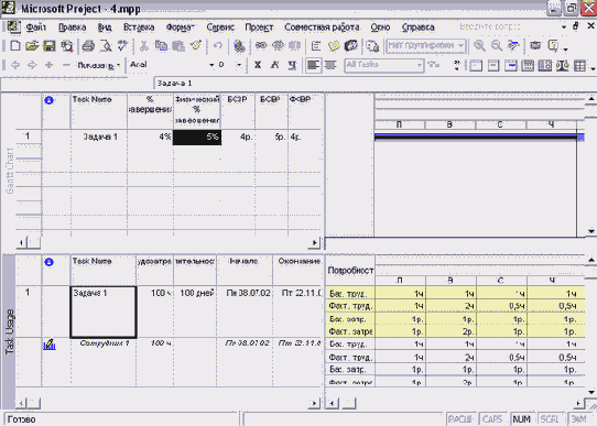 Microsoft Project - 