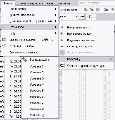 Microsoft Project - 
