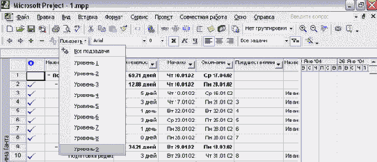 Microsoft Project - 
