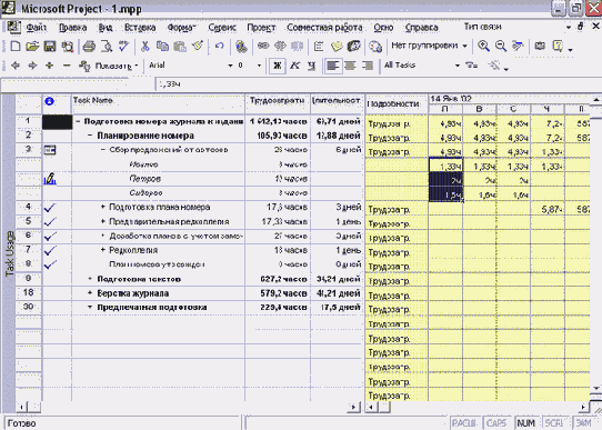 Microsoft Project - 
