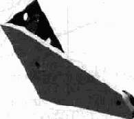  AutoCAD

