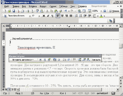   Microsoft Office 2003
