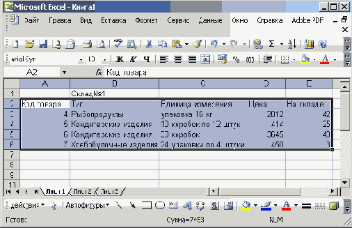   Microsoft Office 2003
