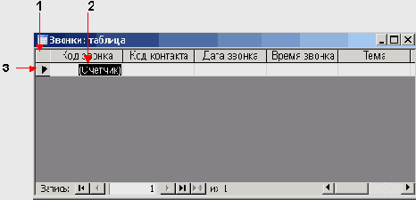   Microsoft Office 2003
