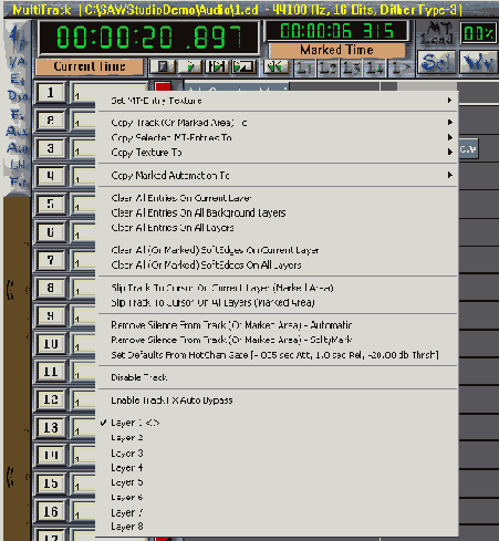 SAWStudio     
