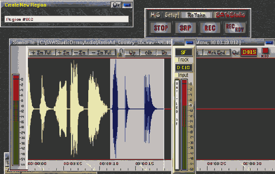 SAWStudio     
