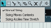 SAWStudio     
